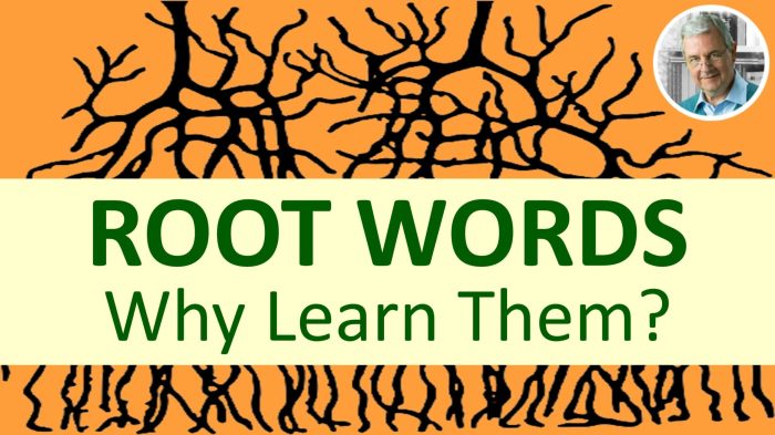 Words with the root word cycl