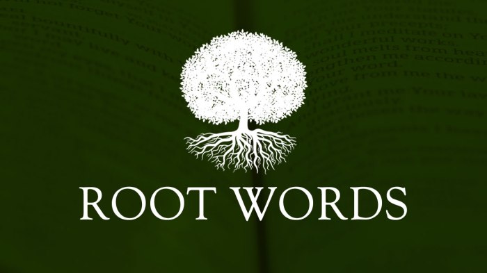 Words with the root word cycl