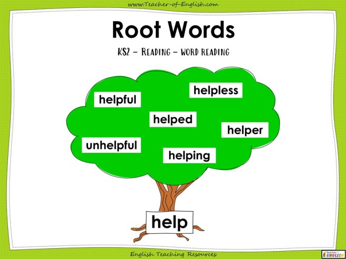 Root vocabulary