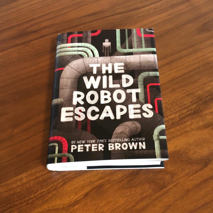 The wild robot chapter questions pdf