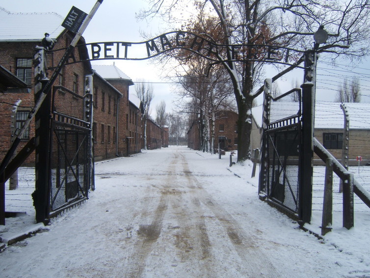 Primo levi survival in auschwitz chapter summary