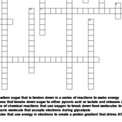 Cellular respiration and photosynthesis crossword puzzle