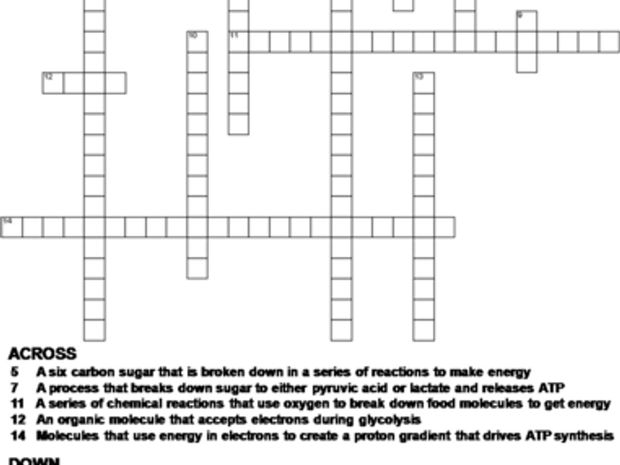 Cellular respiration and photosynthesis crossword puzzle