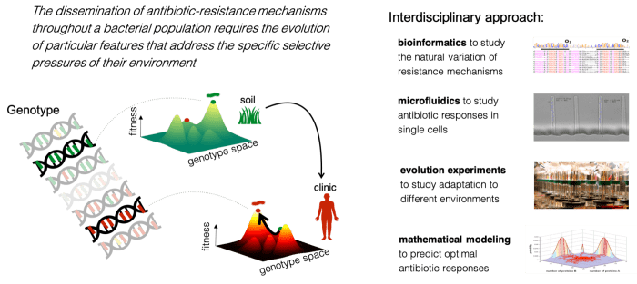 Evolution and drug resistance tick tricks answers